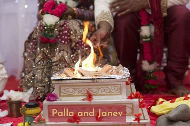 Palla and Janev