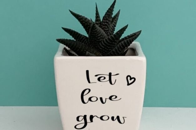 Let love grow with pretty planters